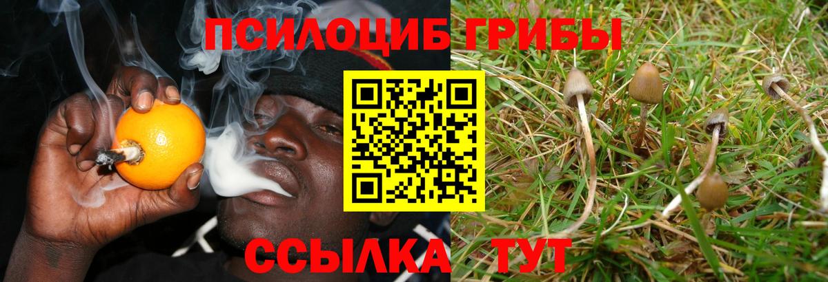 Галлюциногенные грибы GOLDEN TEACHER Сарапул